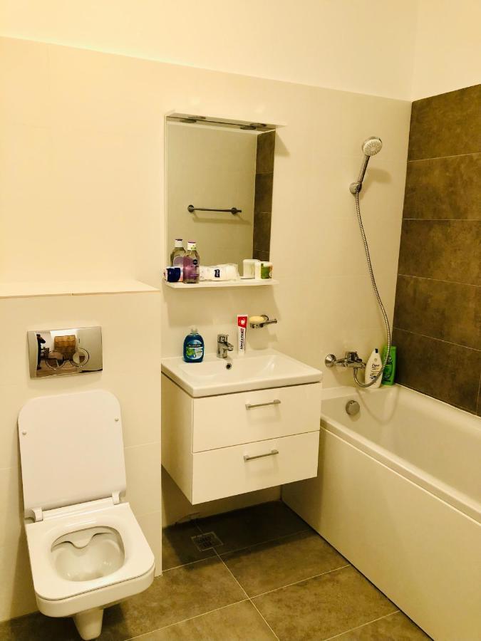 New And Modern Apartment Near Center At Vivalia Grand Temeşvar Dış mekan fotoğraf